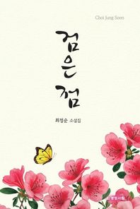 검은 점 최정순 소설집