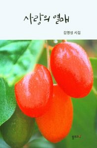 사랑의 열매 김영성 시집