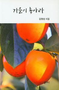 가을이 좋아라 김영성 시집