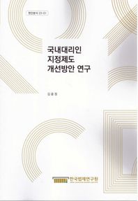 국내대리인 지정제도 개선방안 연구  현안분석