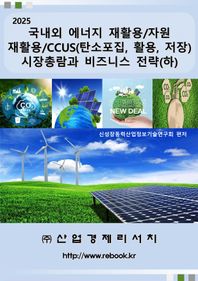 산업경제리서치 2025 국내외 에너지 재활용/자원 재활용/CCUS(탄소포집, 활용, 저장) 시장총람과 비즈니스 전략(하)