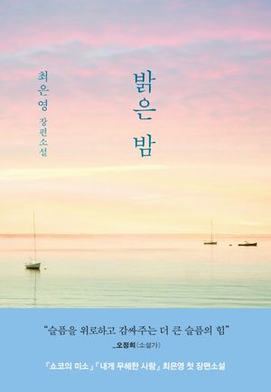 밝은 밤 :최은영 장편소설 표지